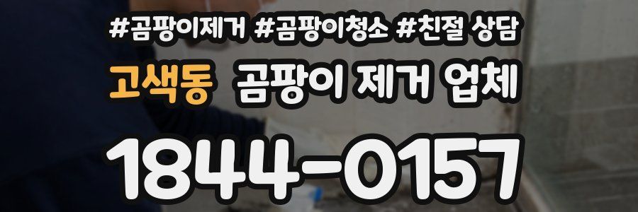 고색동 곰팡이 제거 업체