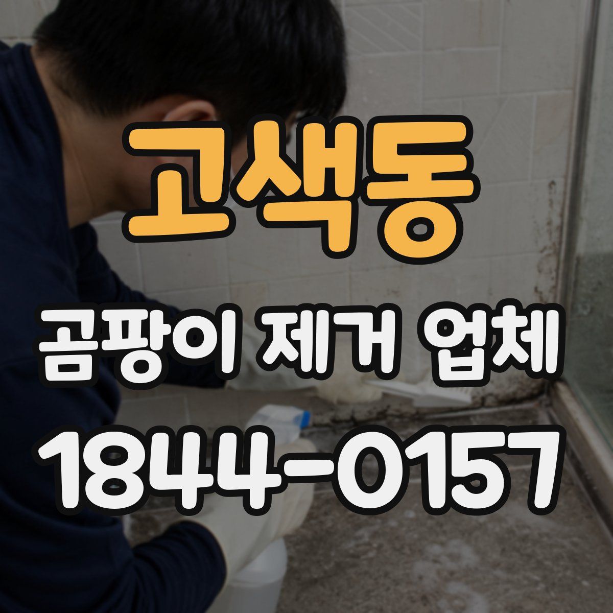 고색동 곰팡이 제거 업체