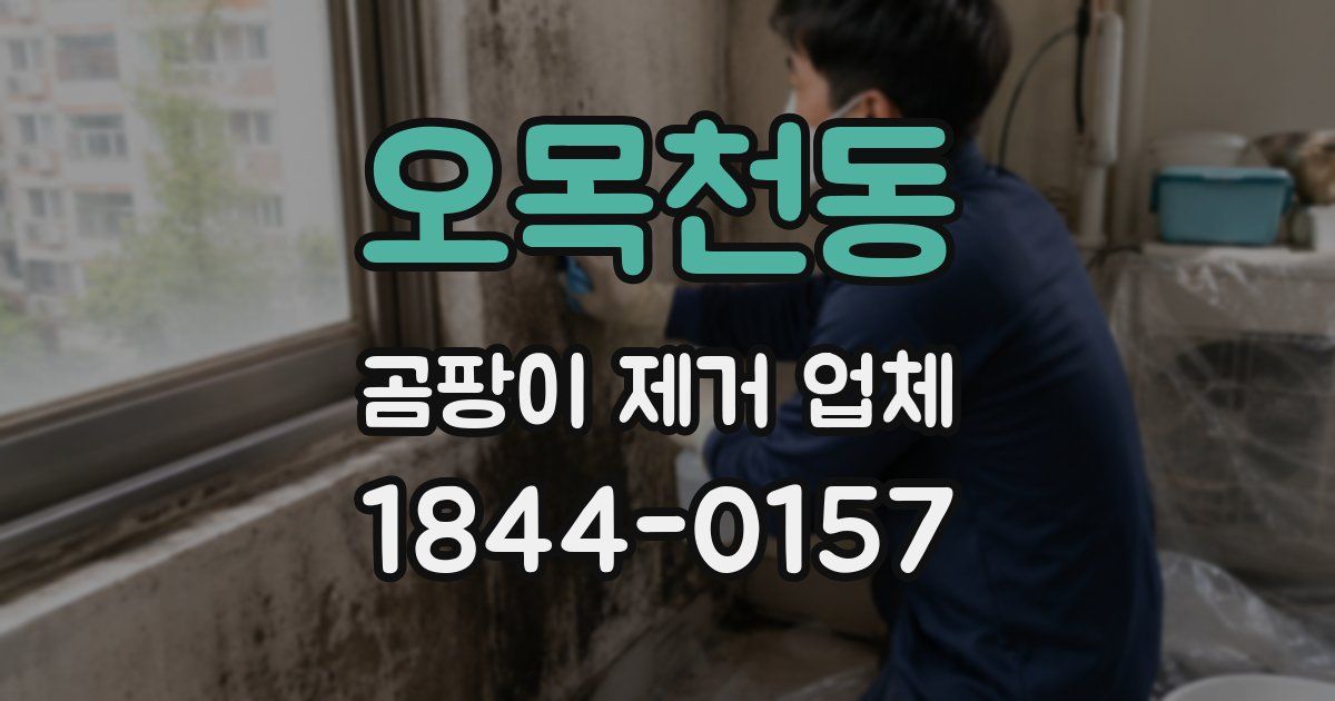 오목천동 곰팡이 제거 업체