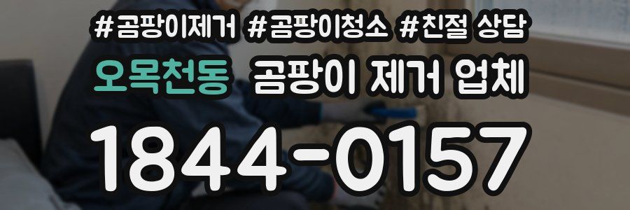 오목천동 곰팡이 제거 업체