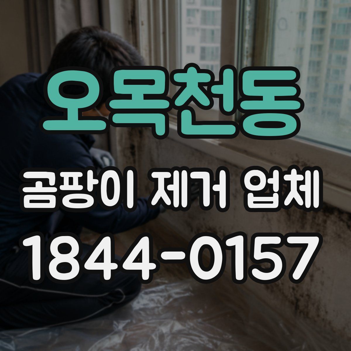 오목천동 곰팡이 제거 업체