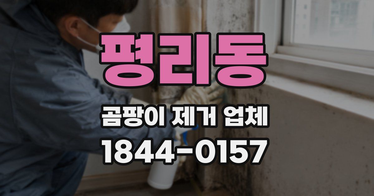 평리동 곰팡이 제거 업체