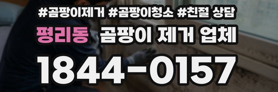 평리동 곰팡이 제거 업체