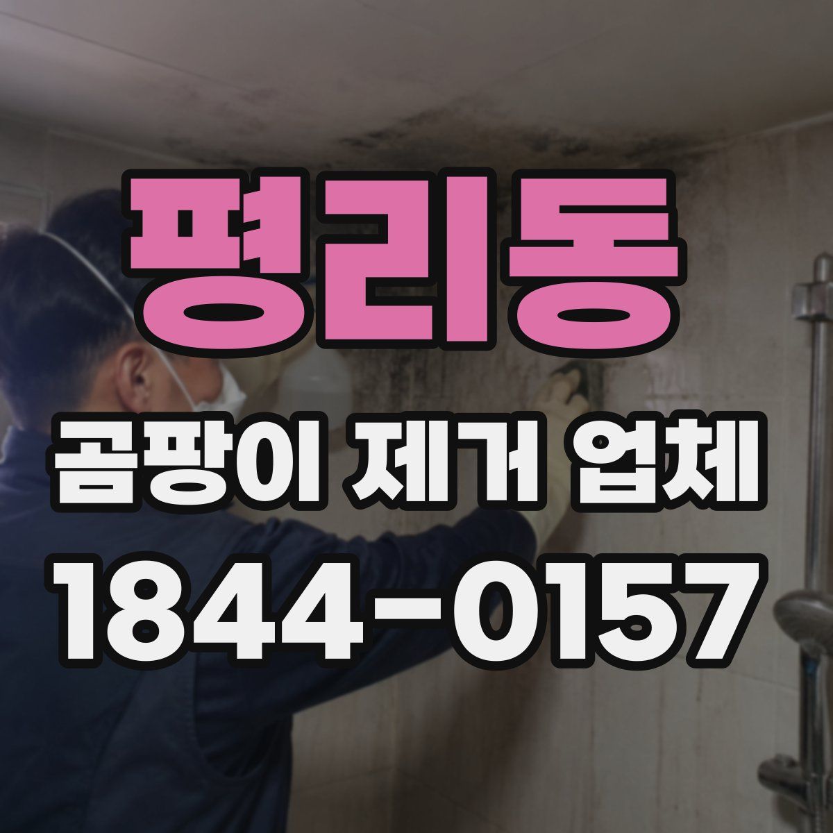평리동 곰팡이 제거 업체