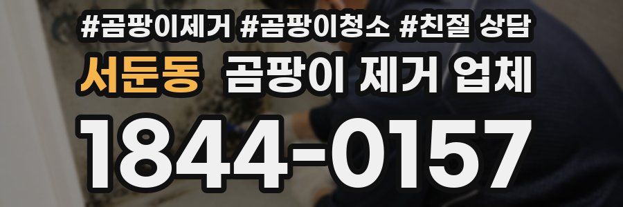 서둔동 곰팡이 제거 업체