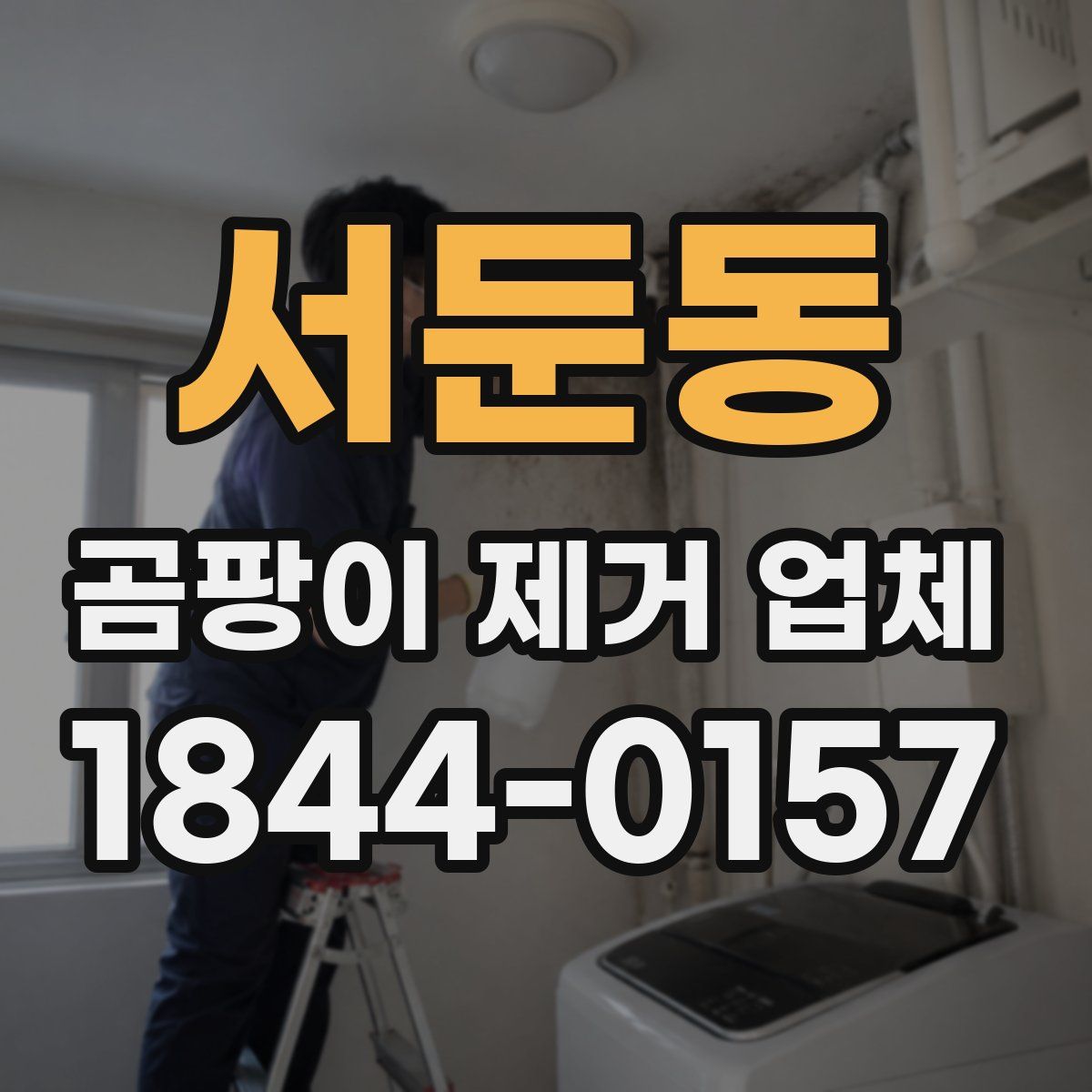 서둔동 곰팡이 제거 업체