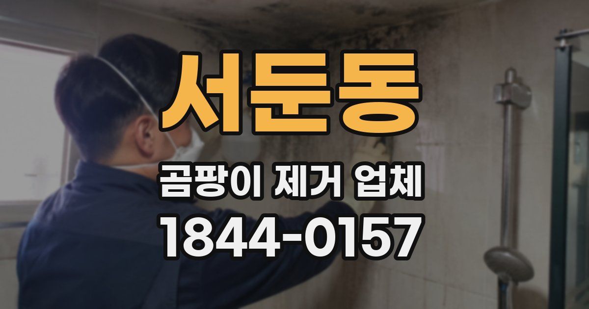 서둔동 곰팡이 제거 업체