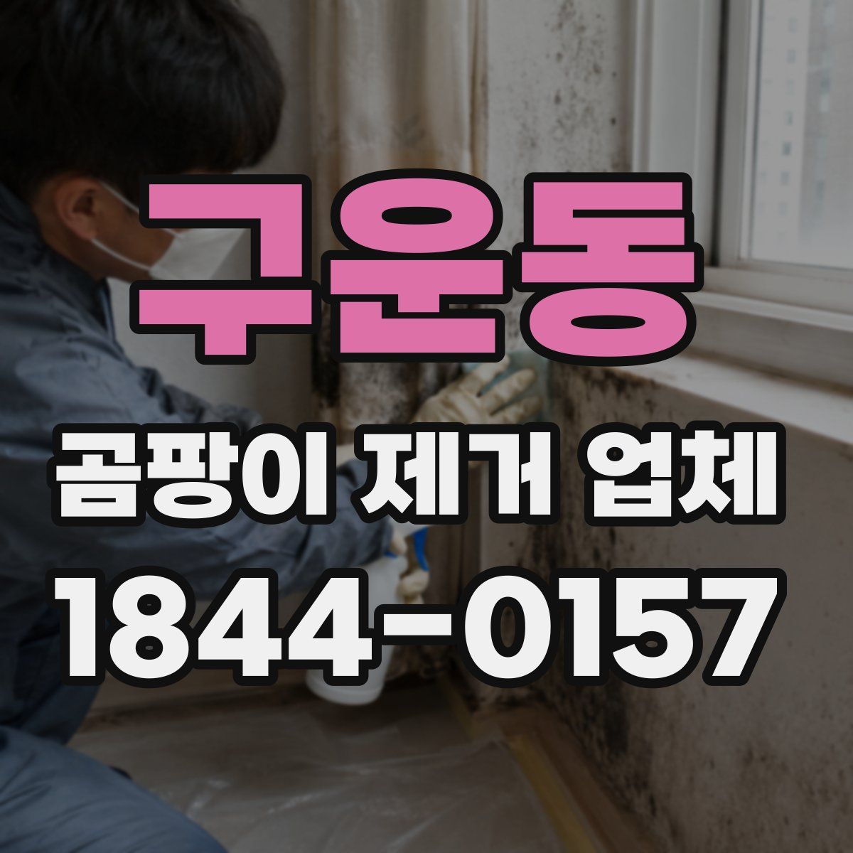 구운동 곰팡이 제거 업체