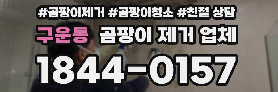 구운동 곰팡이 제거 업체