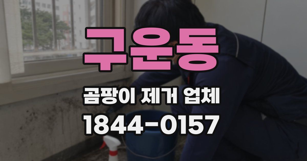 구운동 곰팡이 제거 업체