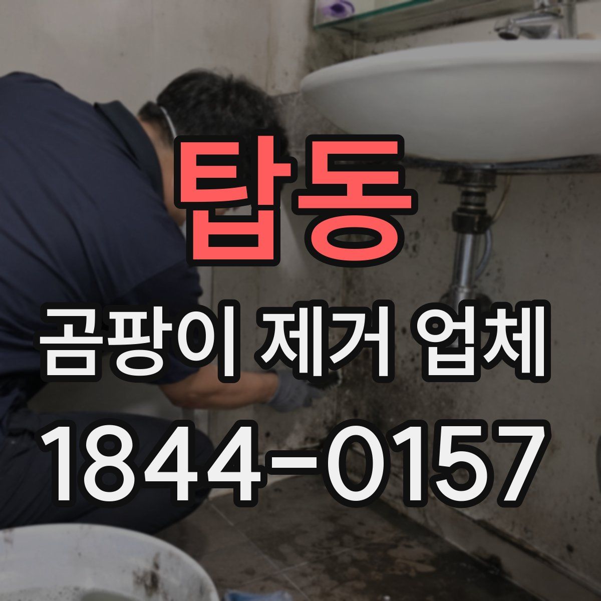 탑동 곰팡이 제거 업체