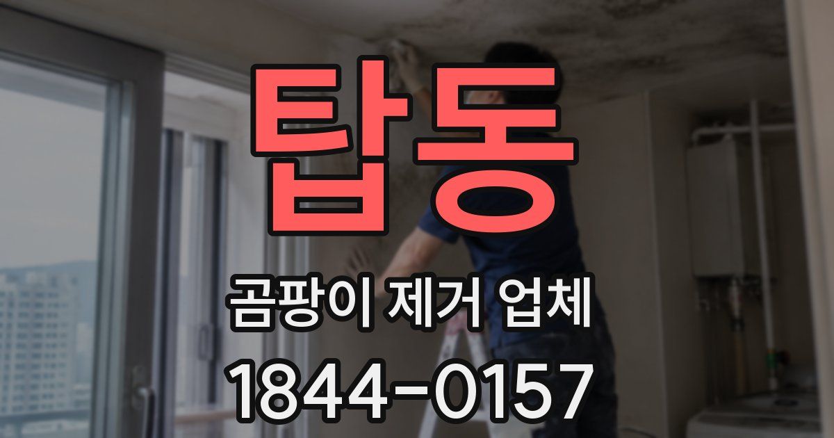 탑동 곰팡이 제거 업체