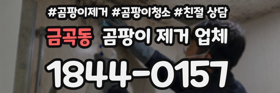 금곡동 곰팡이 제거 업체