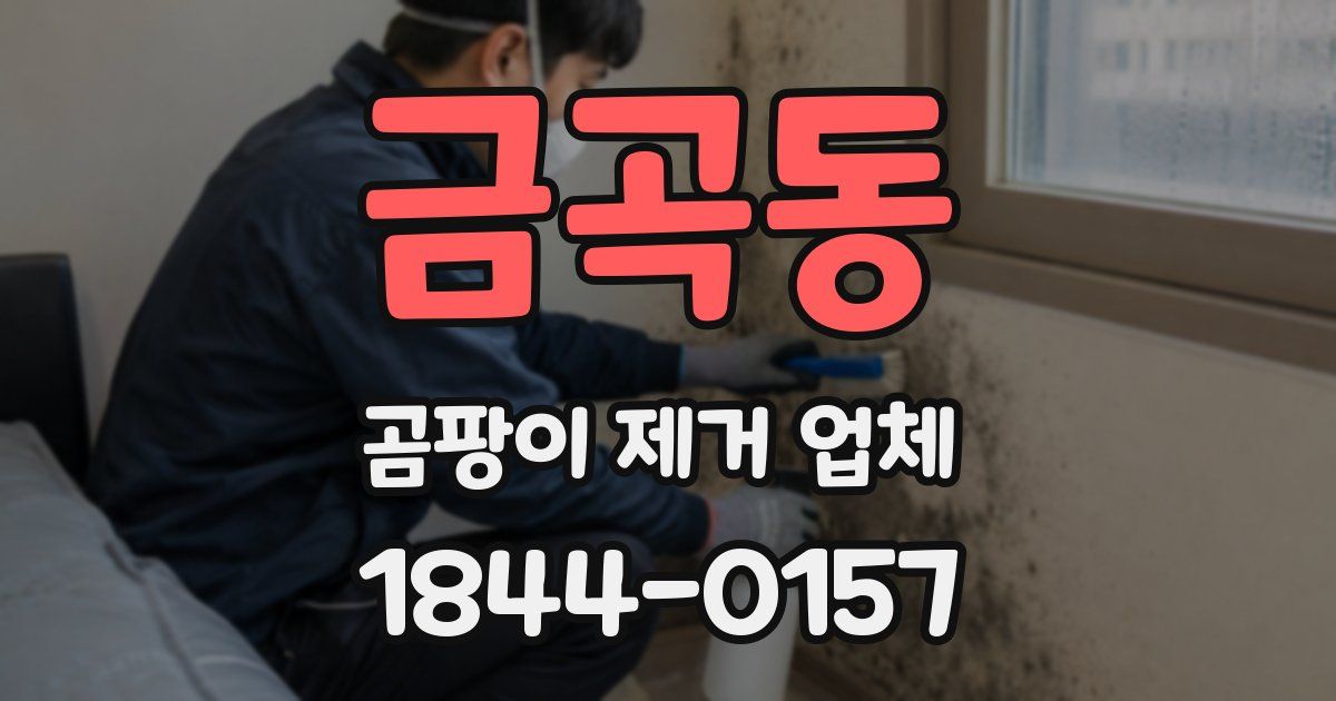 금곡동 곰팡이 제거 업체