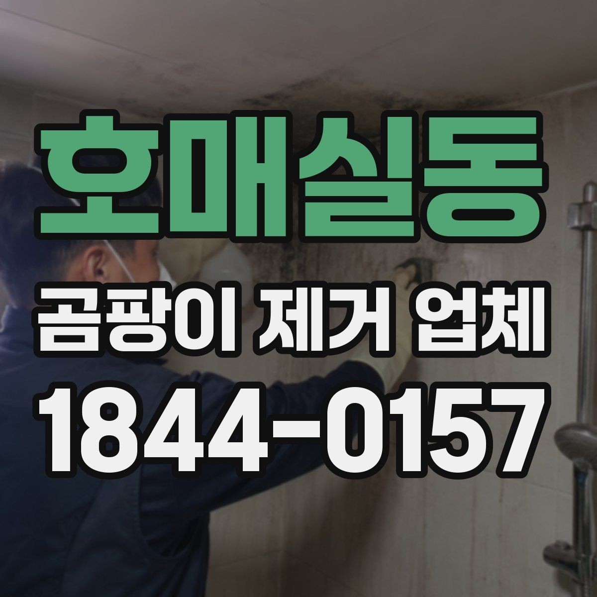 호매실동 곰팡이 제거 업체 선택 시 업체별 차이점 살펴보기