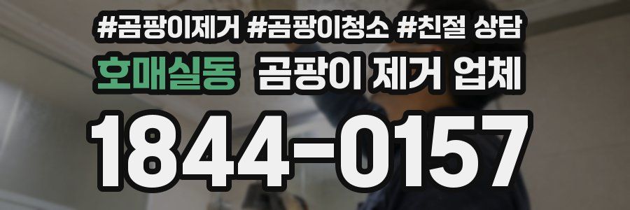 호매실동 곰팡이 제거 업체