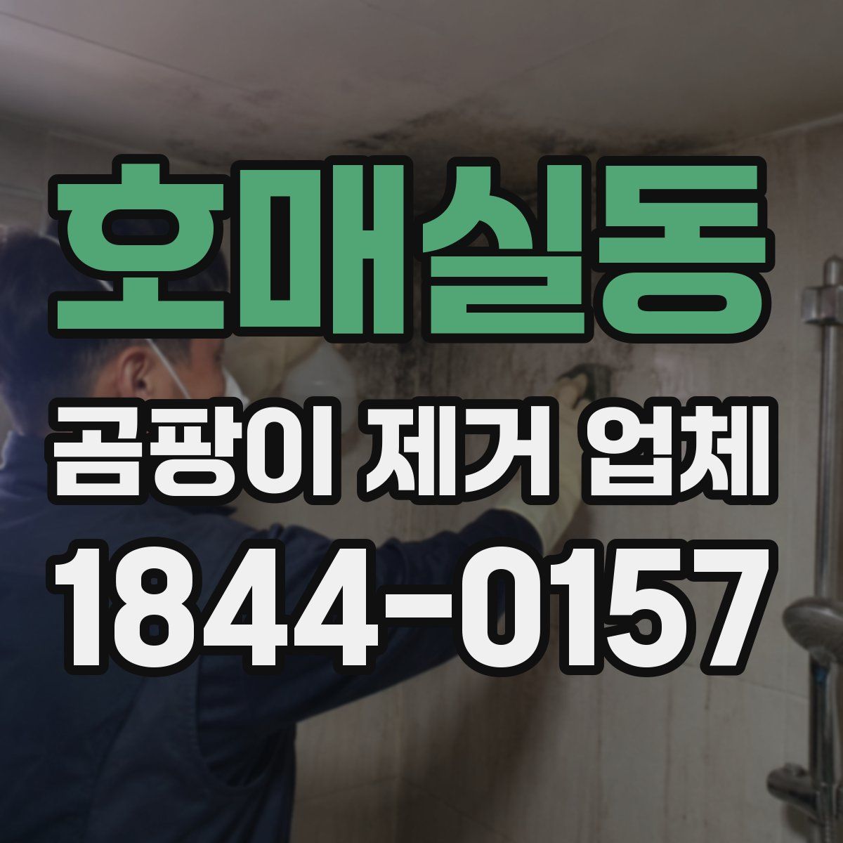 호매실동 곰팡이 제거 업체