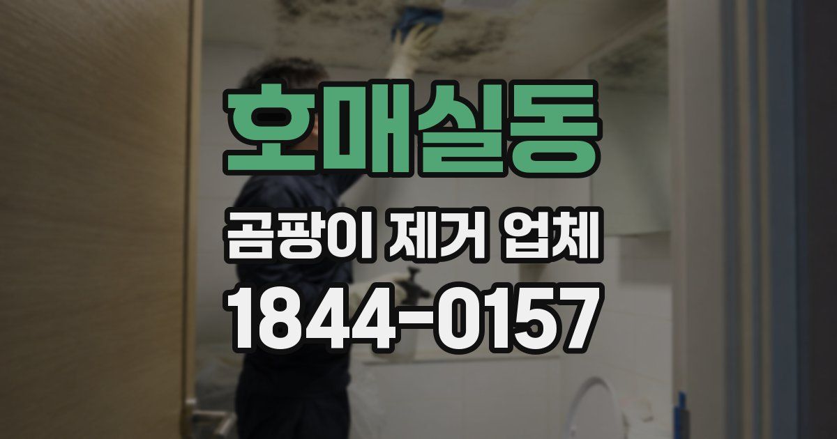 호매실동 곰팡이 제거 업체