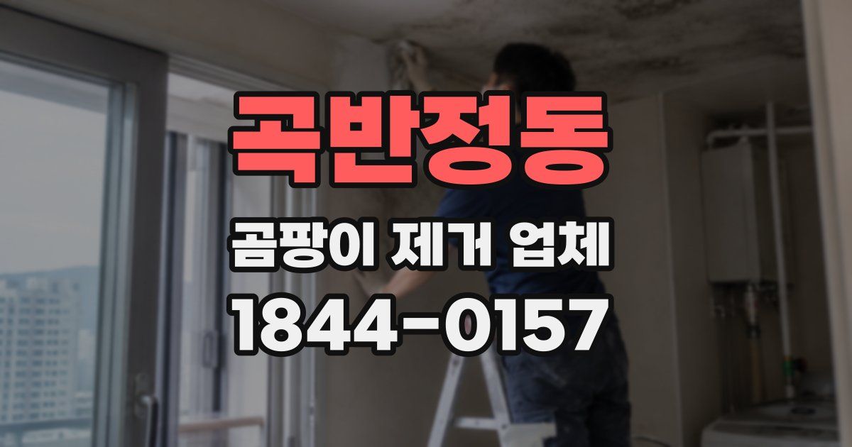 곡반정동 곰팡이 제거 업체