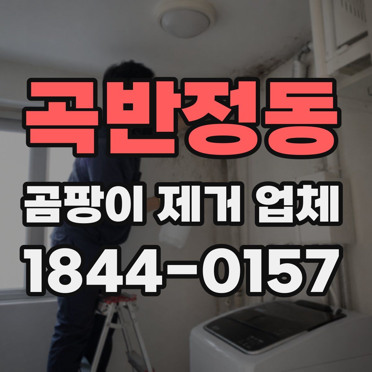 곡반정동 곰팡이 제거 업체