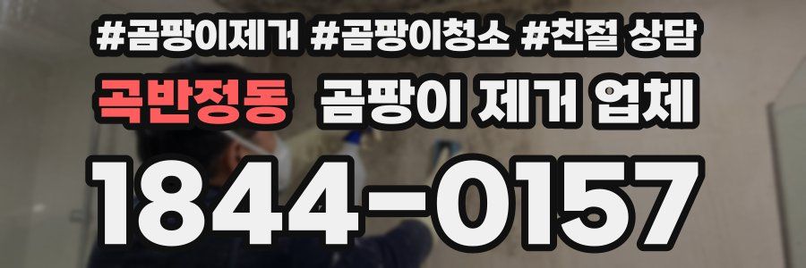 곡반정동 곰팡이 제거 업체