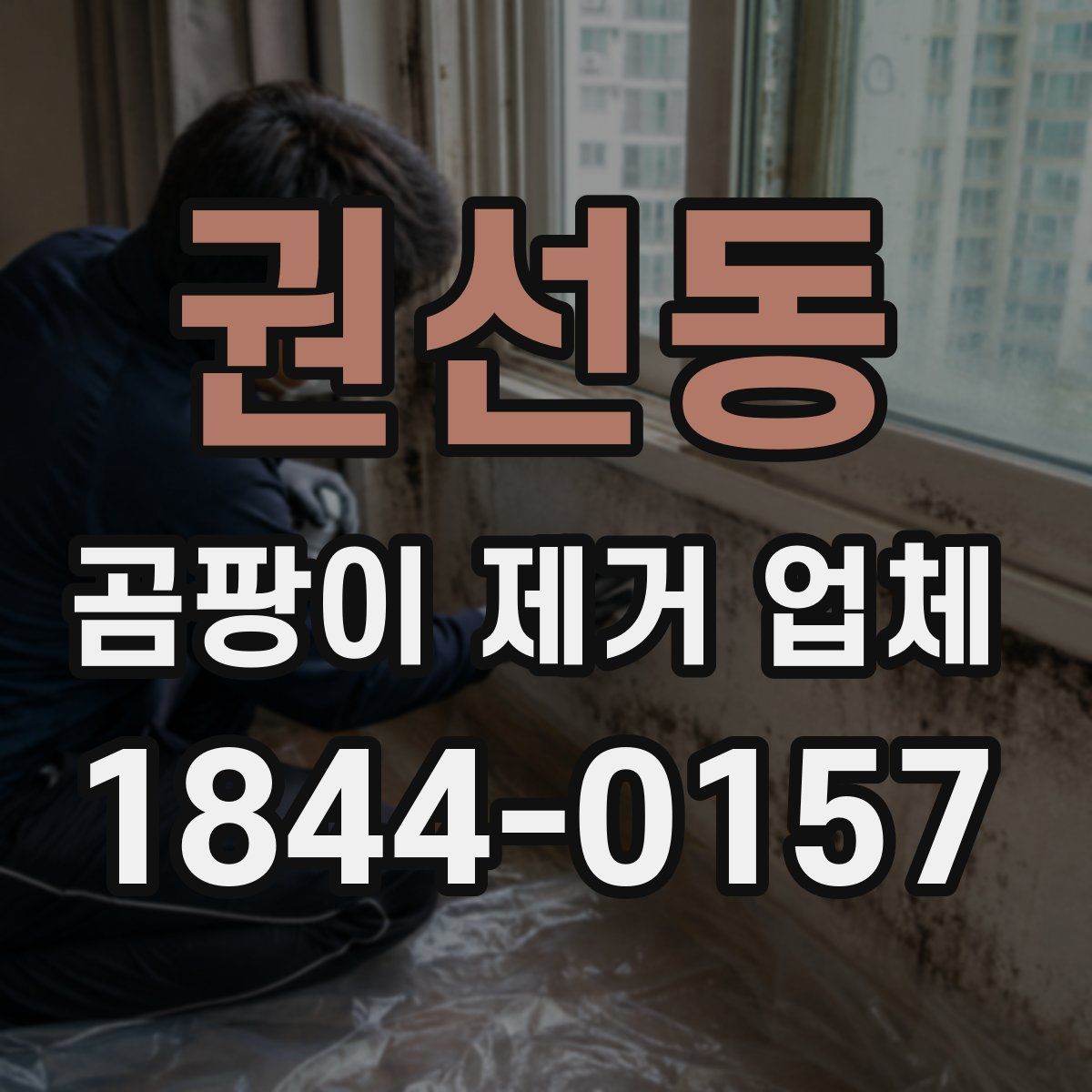 권선동 곰팡이 제거 업체