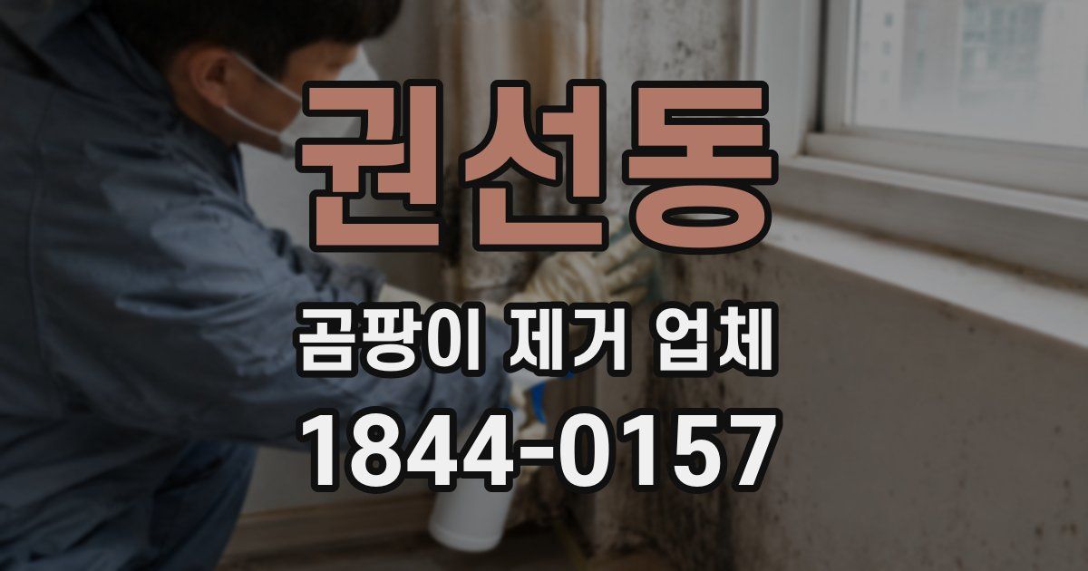 권선동 곰팡이 제거 업체
