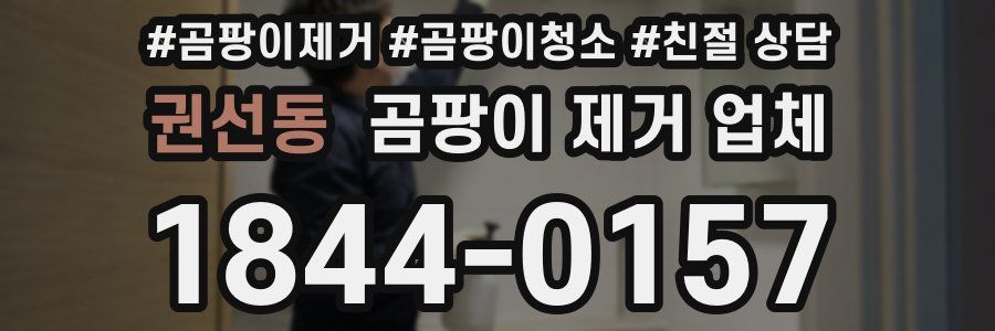 권선동 곰팡이 제거 업체