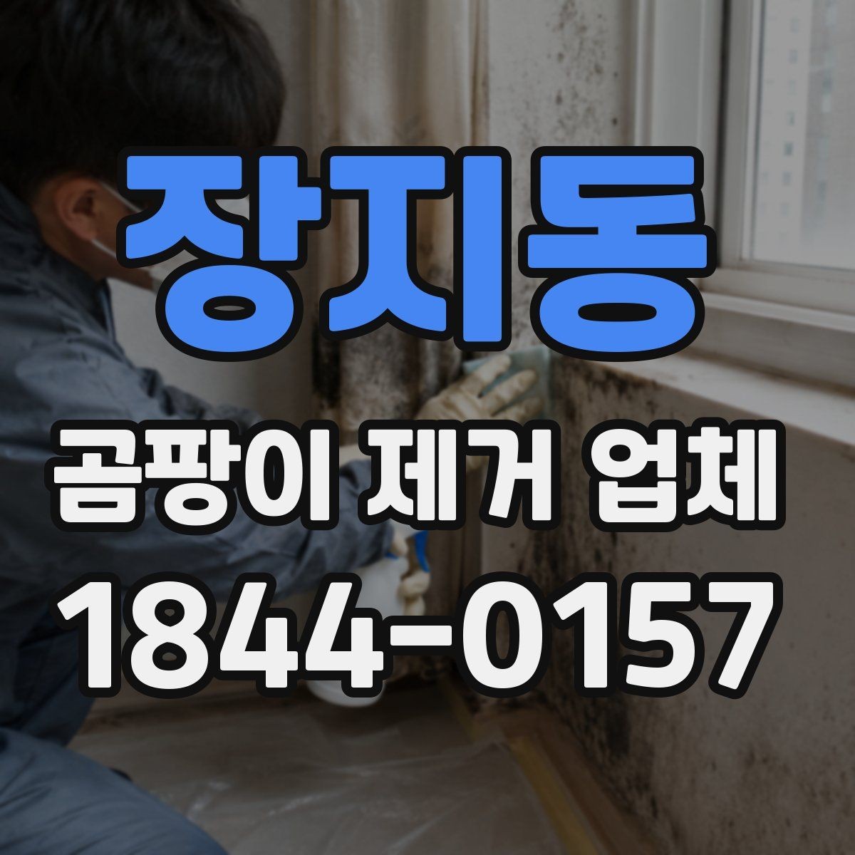 장지동 곰팡이 제거 업체 비용 상담 시 물어볼 질문