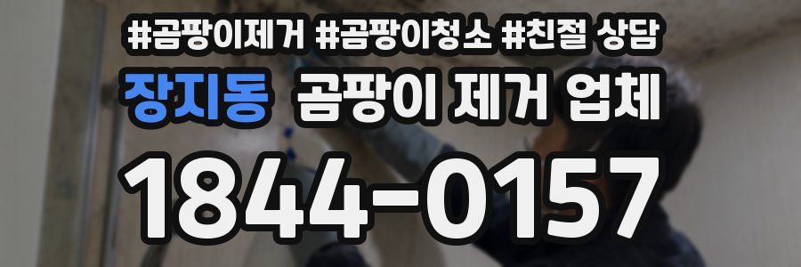 장지동 곰팡이 제거 업체