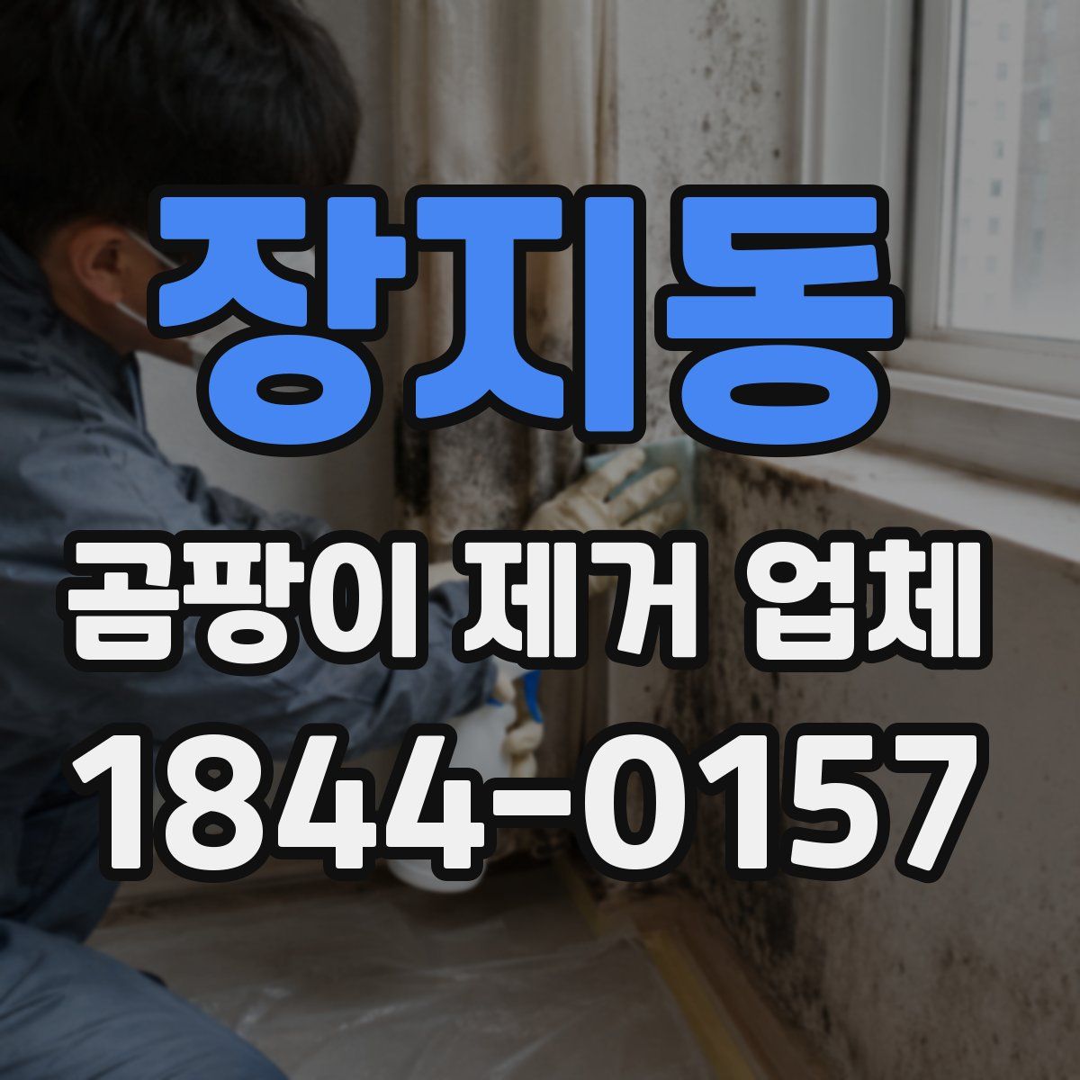 장지동 곰팡이 제거 업체