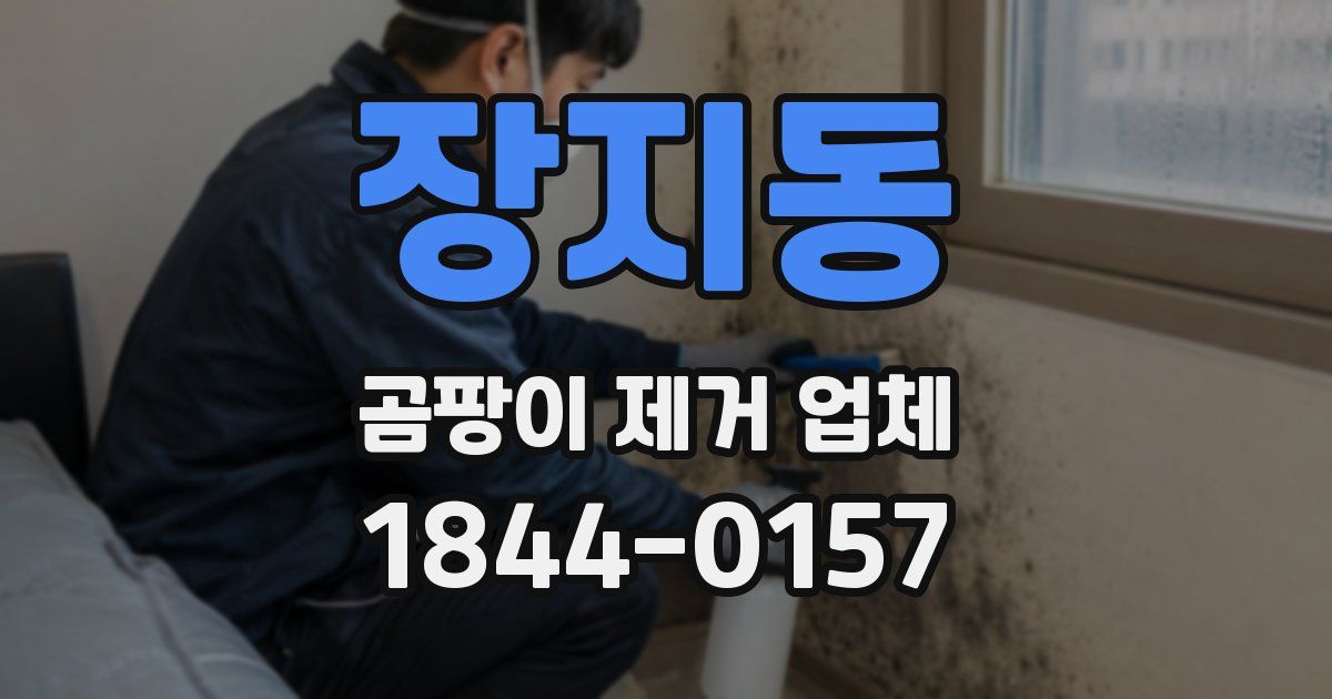 장지동 곰팡이 제거 업체