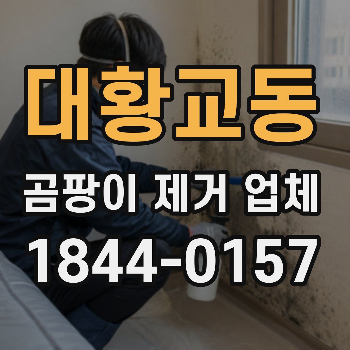 대황교동 곰팡이 제거 업체