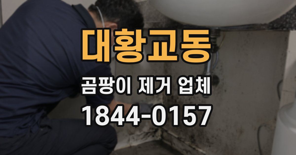 대황교동 곰팡이 제거 업체