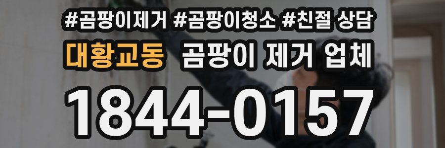 대황교동 곰팡이 제거 업체