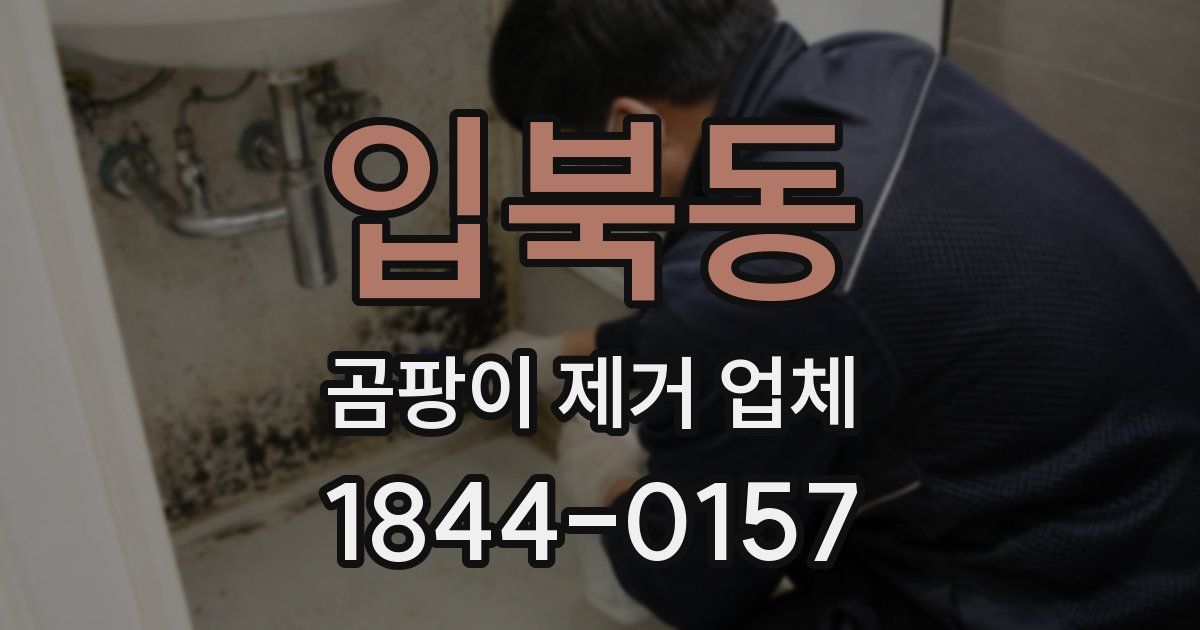 입북동 곰팡이 제거 업체