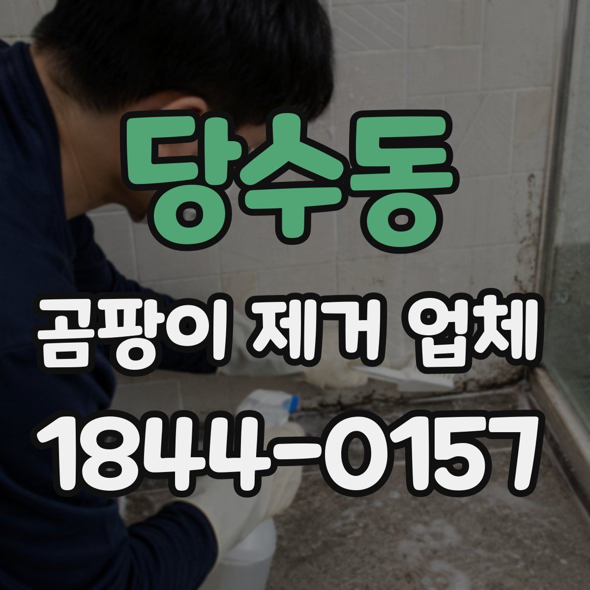 당수동 곰팡이 제거 업체