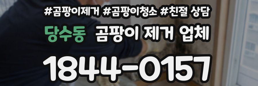 당수동 곰팡이 제거 업체