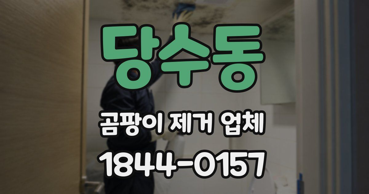 당수동 곰팡이 제거 업체