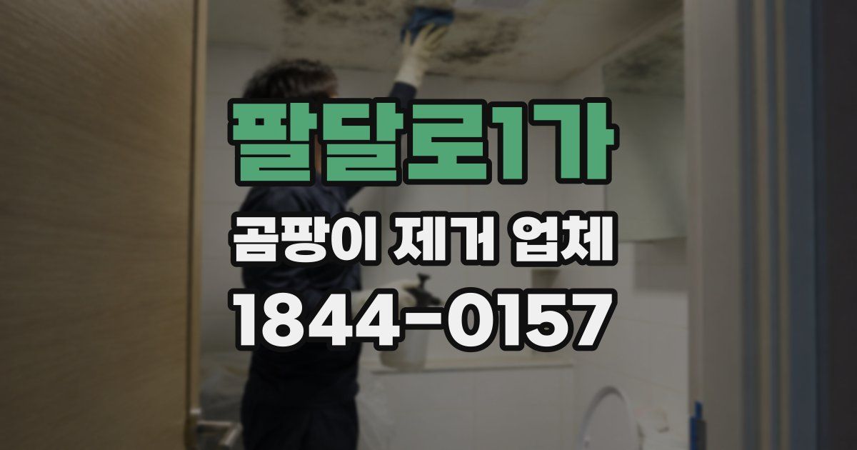 팔달로1가 곰팡이 제거 업체