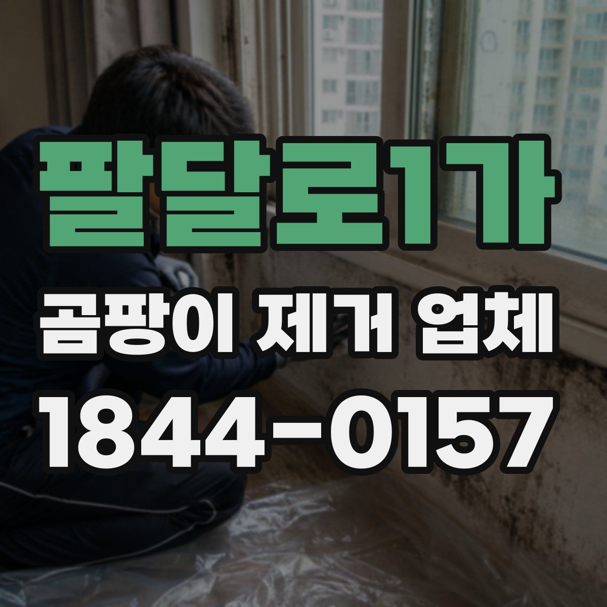 팔달로1가 곰팡이 제거 업체