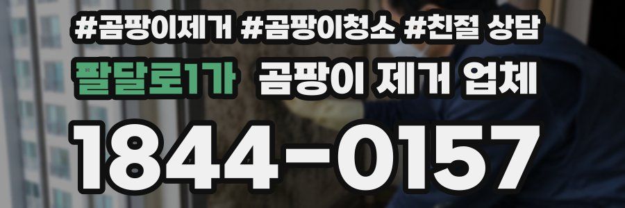 팔달로1가 곰팡이 제거 업체