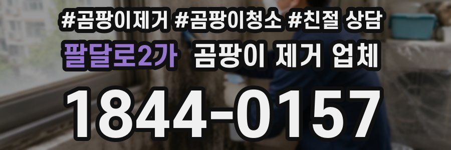 팔달로2가 곰팡이 제거 업체