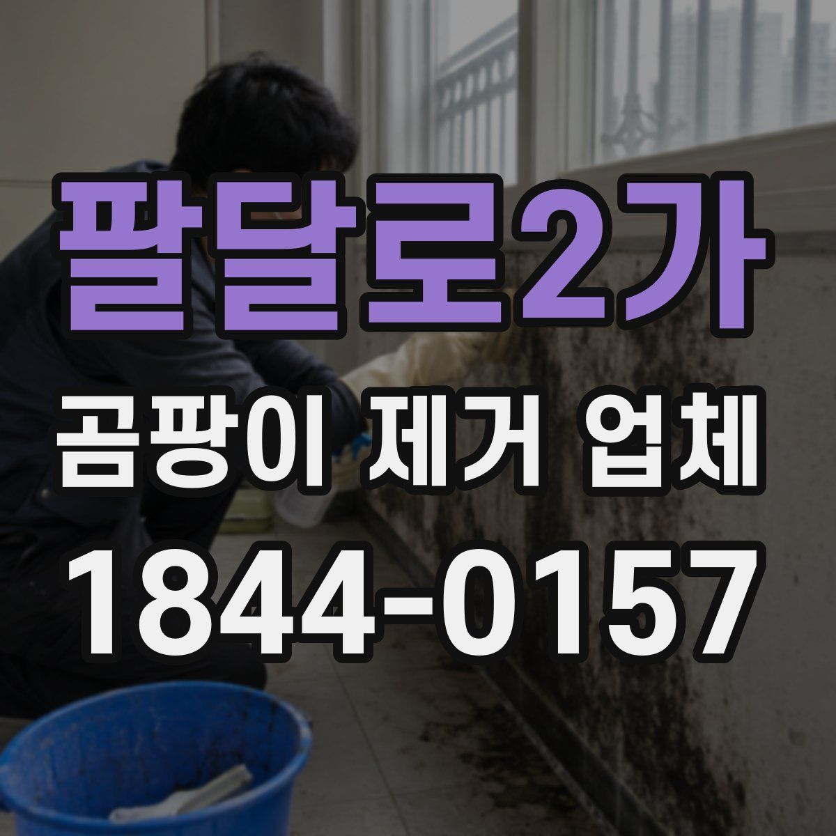 팔달로2가 곰팡이 제거 업체