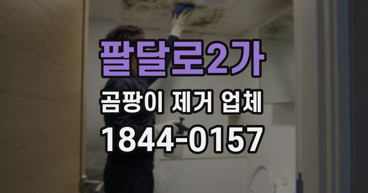 팔달로2가 곰팡이 제거 업체