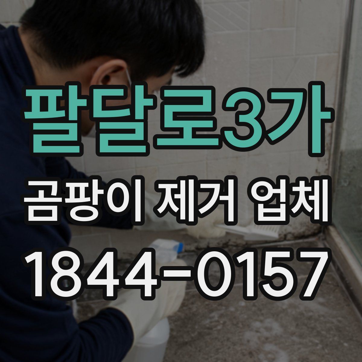 팔달로3가 곰팡이 제거 업체
