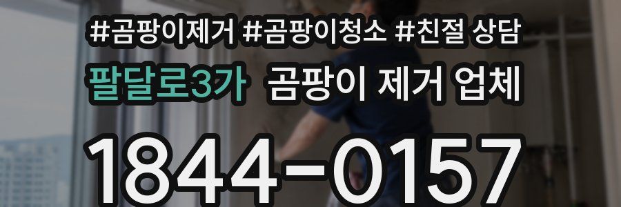 팔달로3가 곰팡이 제거 업체
