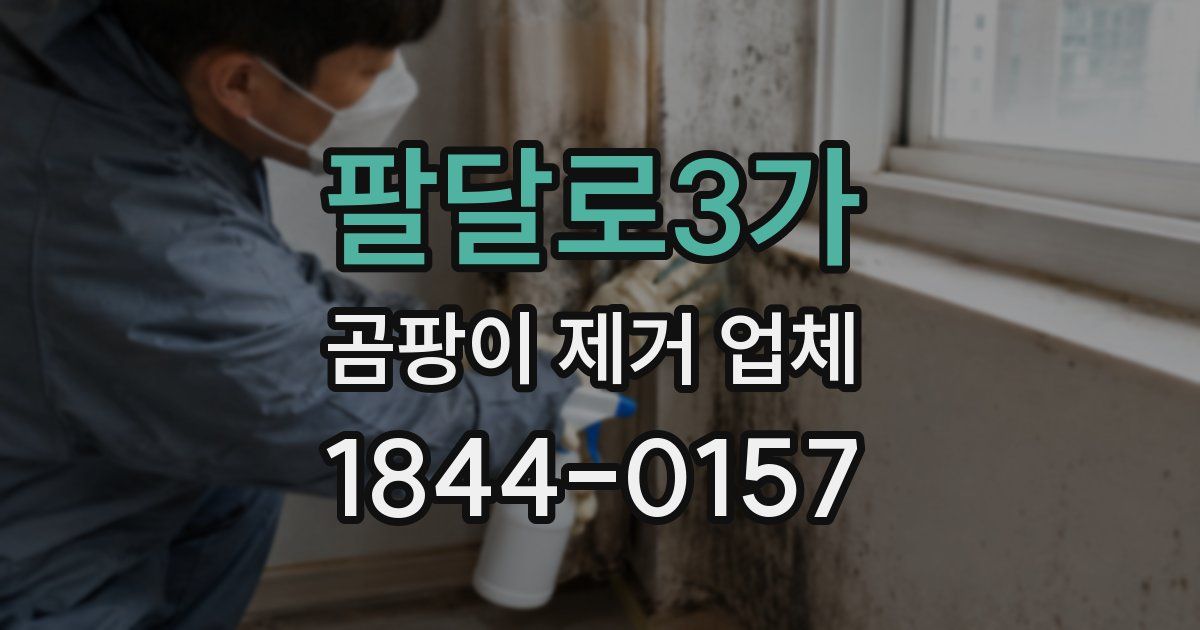 팔달로3가 곰팡이 제거 업체