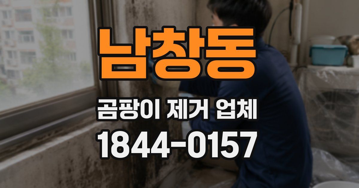 남창동 곰팡이 제거 업체