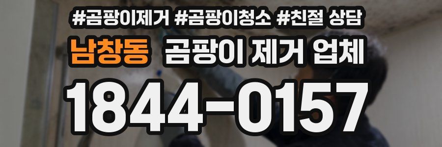 남창동 곰팡이 제거 업체